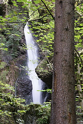 Bernhard Saalfeld - Hinanger Wasserfall